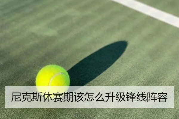 尼克斯休赛期该怎么升级锋线阵容